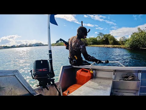 Coastal Foraging In Clear Water