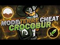 LE PLUS GROS IOP TERRE COMPLÈTEMENT CHEAT DE DOFUS ! (4844 CÔTE)