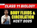 Body Fluids &amp; Circulation Chapter Video | KCET 2025 Biology | BSc Nursing in Karnataka | KEA