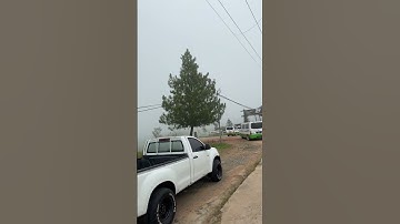 #sabah #kundasang #familyday #dairyfarm #fypシ゚ #kotakinabalu #malaysiatrulyasia