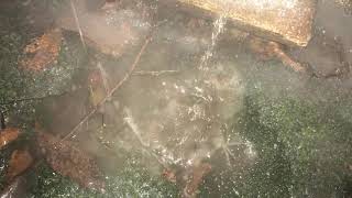 Breaking the Ice