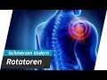 Schulterschmerzen SOFORT lindern - Rotatoren Training | Andiletics