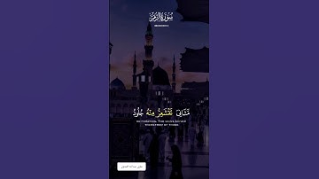 سورة الزمر كامله القارئ ماهر المعيقلي #قران_كريم #explor #read  @علويعبدالله-ر5ي