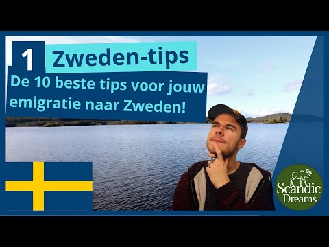 Video: Moet ik verhuizen naar de bossen tx?