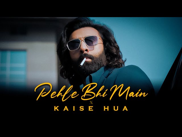 Pehle Bhi Main x Kaise Hua (ACV Mashup) | ANIMAL MASHUP | Ranbir Kapoor class=