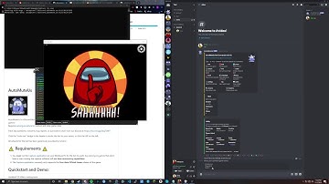 AutoMuteUs 3.0 Quickstart and Demo
