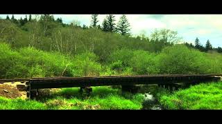 Modern K-Fee Bridge Commercial