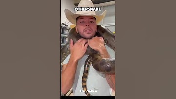 Other Snake vs One This ☠️😱