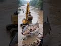 World's Biggest Fish Caught After the Flood 🐬🤣#shorts #shortsfeed
