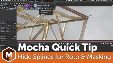 Mocha Quick Tip: Hide Splines for Roto and Masking