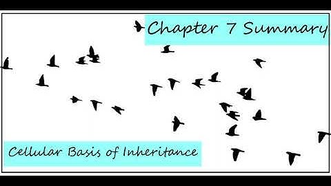 What is Inheritance - based on Cells? Chapter 7 Summary | Concepts of Biology (English Reading Only)