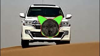 ریمیکس محسن لرستانی ✌️😍❤️#موزیک 