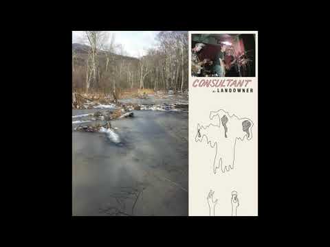 Landowner — Landowner - Phantom Vibration