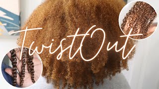 Voluminous Twist Out on Fine Natural Hair
