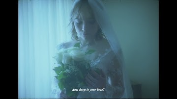 Flower Face - The Ides of March (Visualizer)