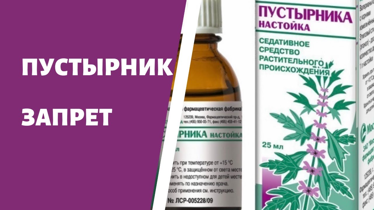 При каких заболеваниях применяют пустырник. Пустырник противопоказания. Пустырник лечебные свойства. Передозировка пустырником. Пустырник медицинское применение.