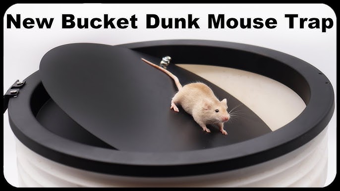 Mice Rat Mouse Killer, iMounTEK Reusable Rat Trap Bucket Spinner