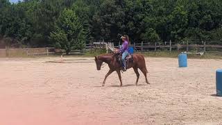 Bodees Animal 30 Days