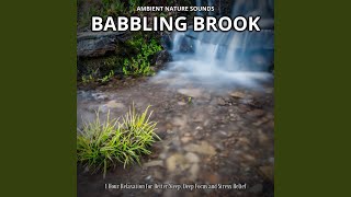 Sounds of the Brookside