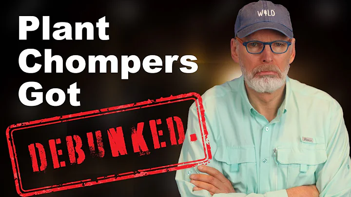 Professor Bart Kay thoroughly debunked Plant Chomp...