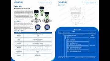 WB-RD 4-20mA Wiring Instruction