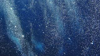 Dive The Blue: Relaxing Bubbles and Sunshine | 4K Dives