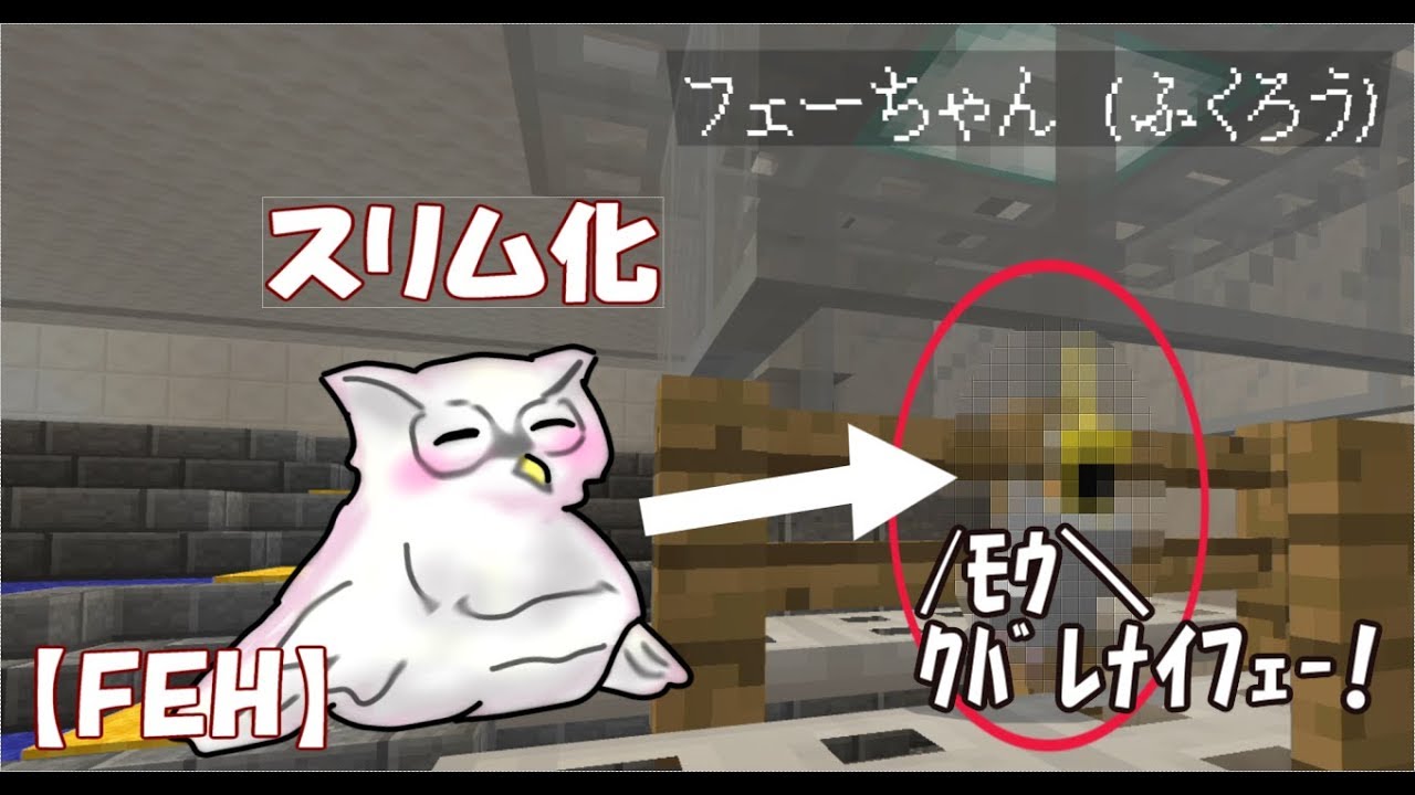 Feh 羽を配り過ぎてすっかりスリムになったフェー マイクラ Youtube