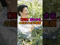 「虫が苦手」は誤解だった…皇后雅子さまと蚕、しられざる絆 　#皇室 #雅子さま ##御養蚕