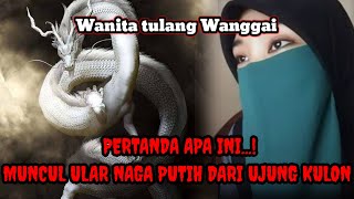 Download Lagu Tulang Wanggai wanita..! Melihat ular naga putih. 17 tahun sakit dan tidak kunjung sembuh.! Selalu  MP3 Download Lagu Tulang Wanggai wanita..! Melihat ular naga putih. 17 tahun sakit dan tidak kunjung sembuh.! Selalu  MP3