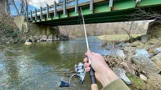 Small Creek TROUT Fishing with Inline Spinners
