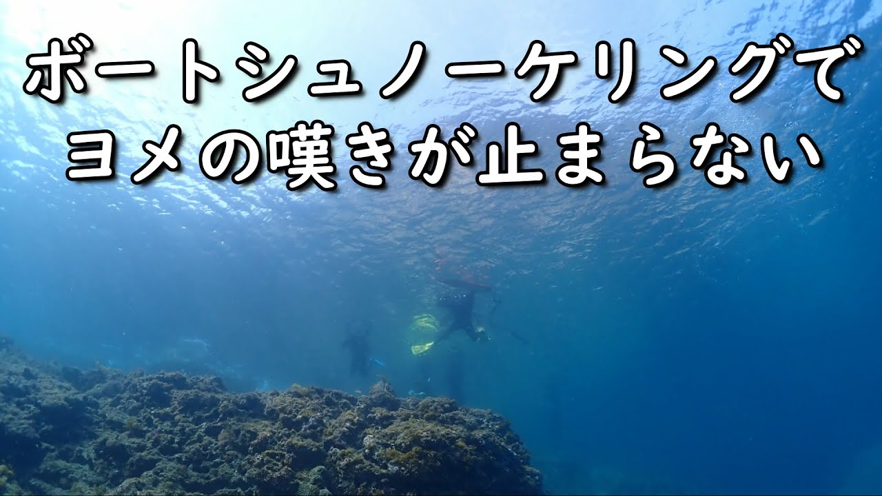 うららの御礼／ボートシュノーケリングに挑戦／GoProHERO9海中撮影／岩美町浦富海岸【猫と海辺の田舎暮らし20】