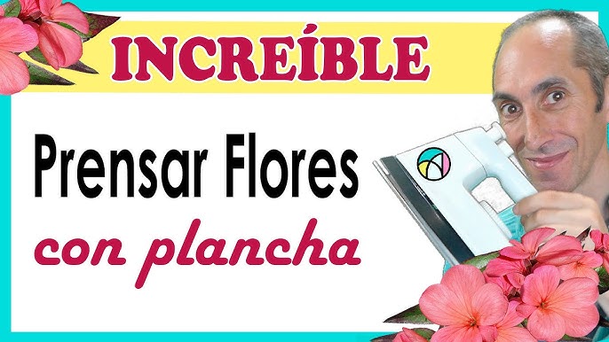 Flores prensadas secas para resina, flores secas prensadas naturales, flor  seca prensada real para decoración de uñas, jabón, fabricación de joyas, ma  O perfecl Arte De Uñas De Flores Secas