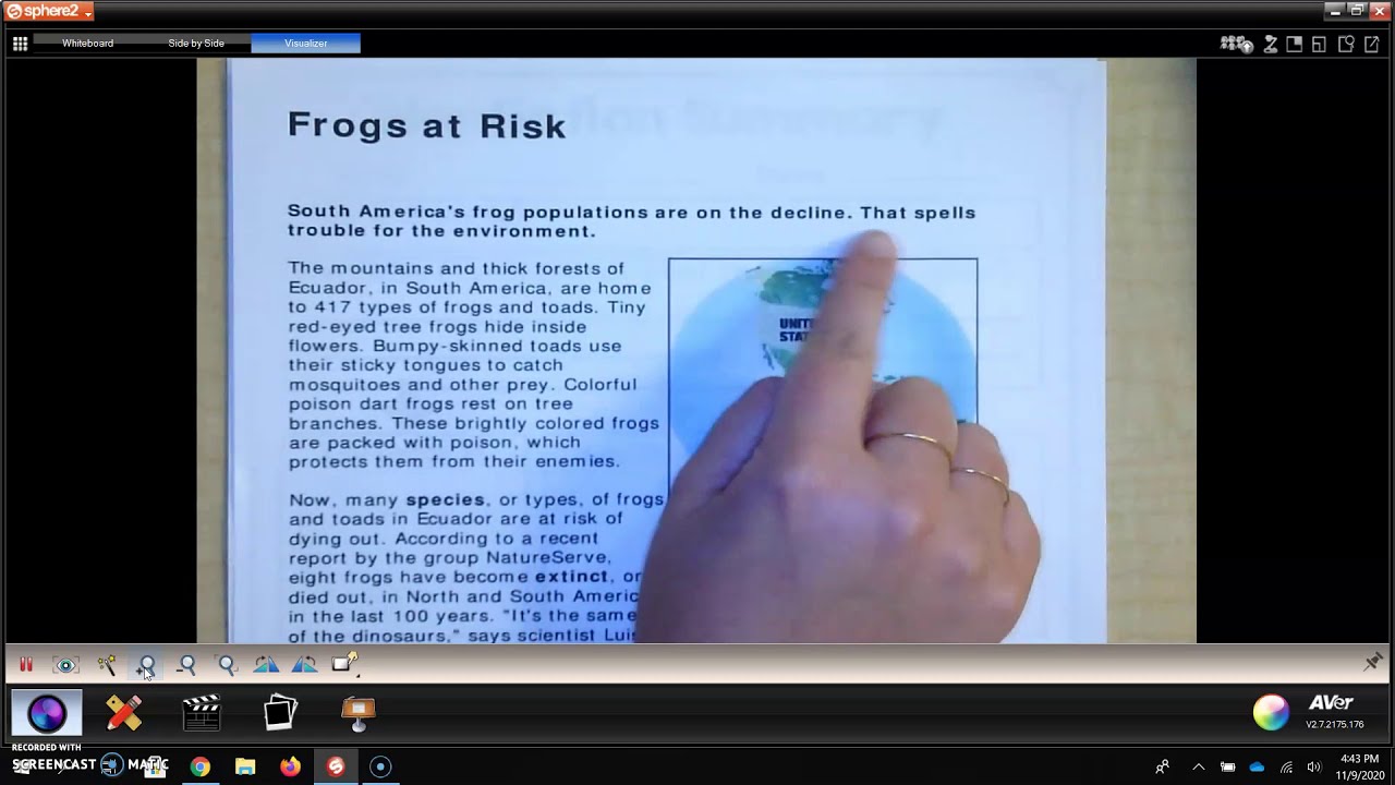 Nonfiction Summary Frogs at Risk YouTube