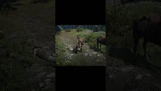 red dead redemption 2 rog NUC 5080 ULTRA graphics 4k HDR #reddeadredemption2 #red2 #gaming