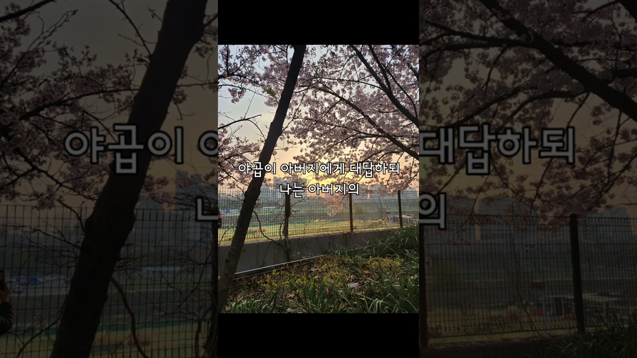 성경말씀 5장 읽기 [창세기 26~30장] 
