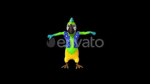 Parrot Dance | Motion Graphics - Envato elements