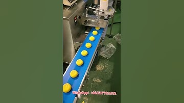 Automatic pie production line