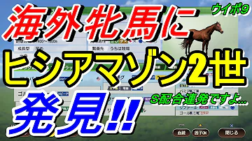 ウイニングポスト海外セールオススメ