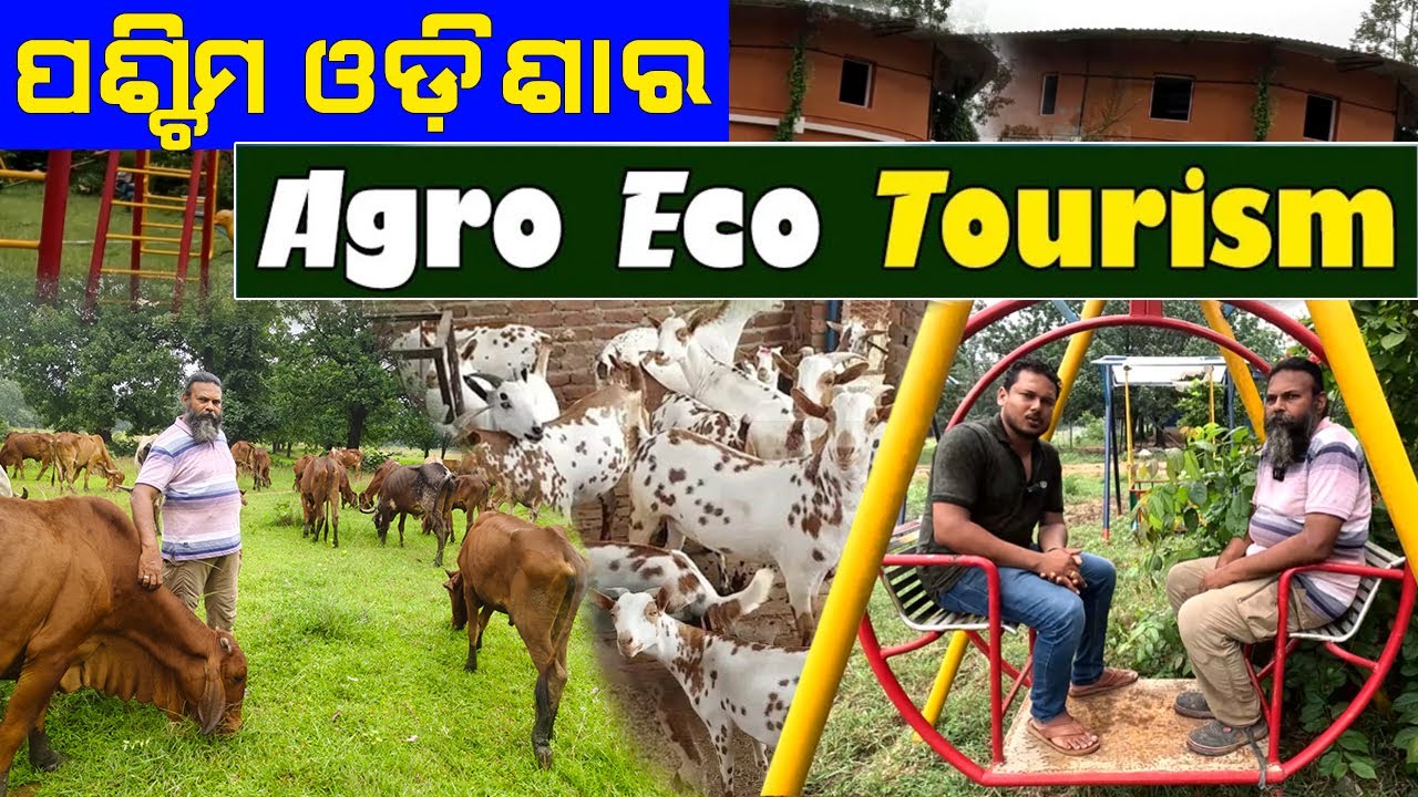 ପଶ୍ଚିମ ଓଡ଼ିଶାର ସବୁଠାରୁ ବଡ଼ Agro Eco Tourism. || Utkarsh Nature Village. @EfarmingOdisha