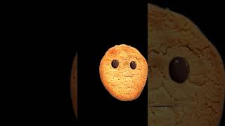 edit of cookie, tomato, plucky and catty