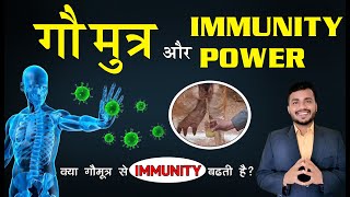 गौमूत्र Aur Immunity||Kya Gaumutra Se Immunity Power Badhti Hai|| Does Gaumutra Increase immunity