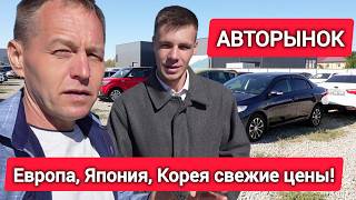 видео: Hyundai, Toyota, Skoda дешевле новой Весты! Что купить на трейд-ин? | Площадка ЦЕНА НЕ ОЧЕНЬ ВЫСОКАЯ картинка: Hyundai, Toyota, Skoda дешевле новой Весты! Что купить на трейд-ин? | Площадка ЦЕНА НЕ ОЧЕНЬ ВЫСОКАЯ