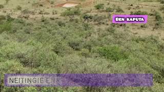 Omom By Frank Kamoye