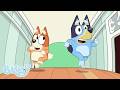 ヨガ・ボール 💙🧡 | 全編 | ブルーイ - 日本公式チャンネル - Bluey