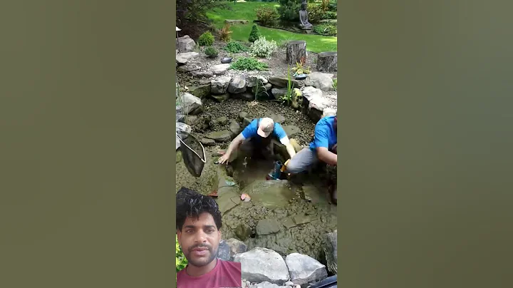 Another Backyard Pond Power Wash Cleaning | #goodthing 🤔🤔