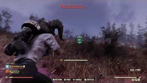 Bethesda support video