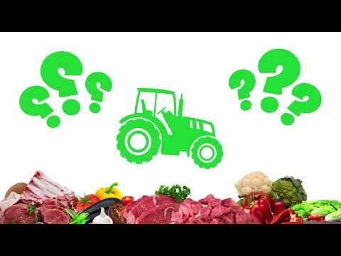 Frisco Fresh Market by Vishwajit Yogaraj Reel Frisco 2025
