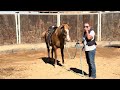 Drill and principles