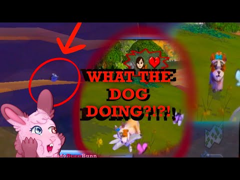 ? What The Dog Doing? ? Full Playthrough of SimAnimals for the Wii Part 1 ? Nostalgia Gameplay ?