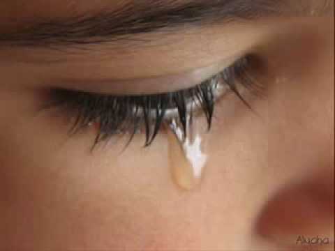 YouTube Hamada Hilal Dayman Dmo3a